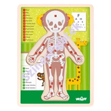 Emberi test - kirakó játék - LÁNY - angol nyelvű - oktató puzzle - fa kirakó - fejlesztő játék - montessori játék - W91925