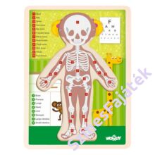 Emberi test - kirakó játék - LÁNY - angol nyelvű - oktató puzzle - fa kirakó - fejlesztő játék - montessori játék - W91925