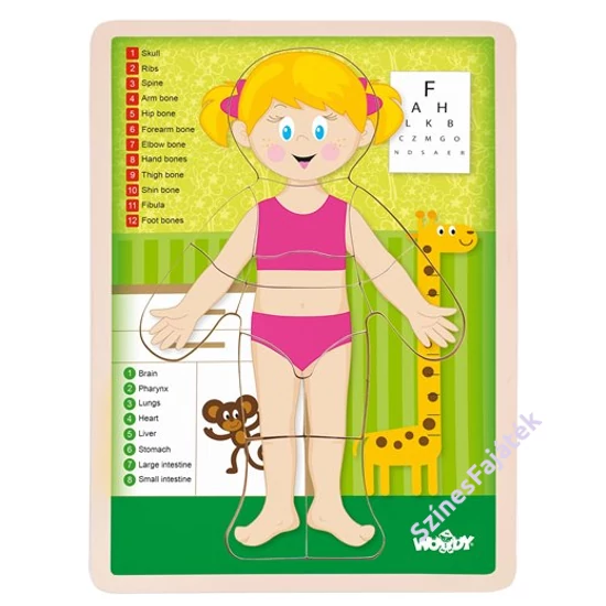 Emberi test - kirakó játék - LÁNY - angol nyelvű